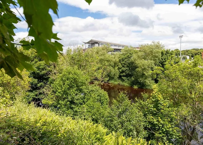 9A Millbrae - Donnini Apartments